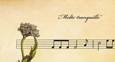 Música