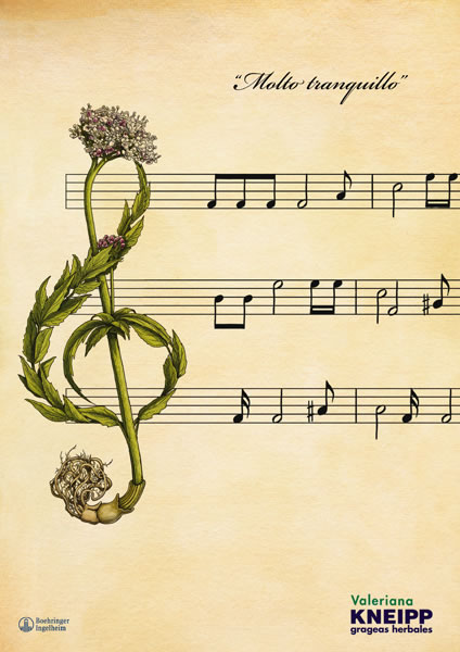 Música - 1