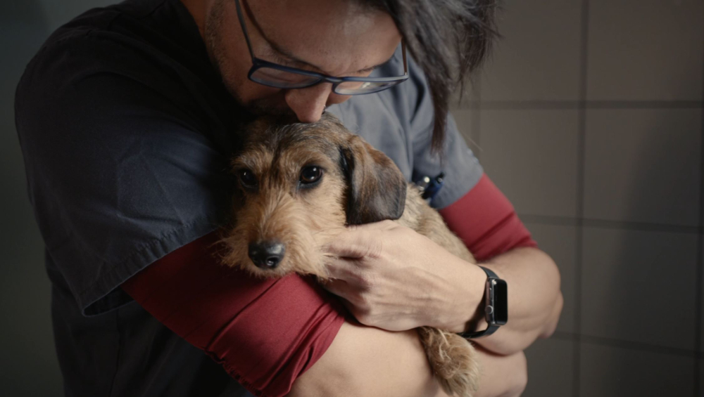 Along with clinics: the real story behind a vet - 3