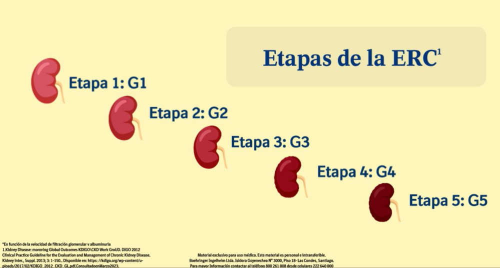 Conciencia Renal "Identifica, Previene y Protege" - 2