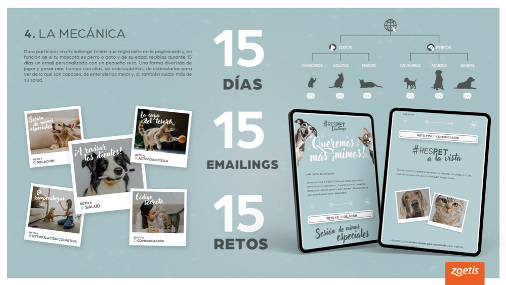 RESPET Challenge - 3