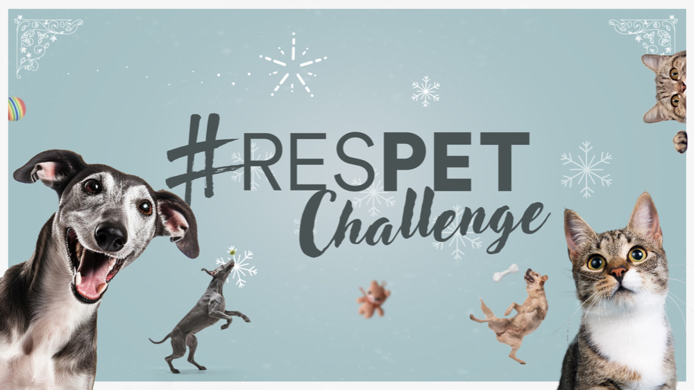 RESPET Challenge - 5