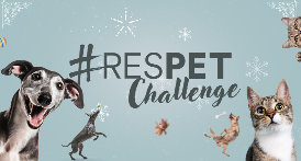 RESPET Challenge