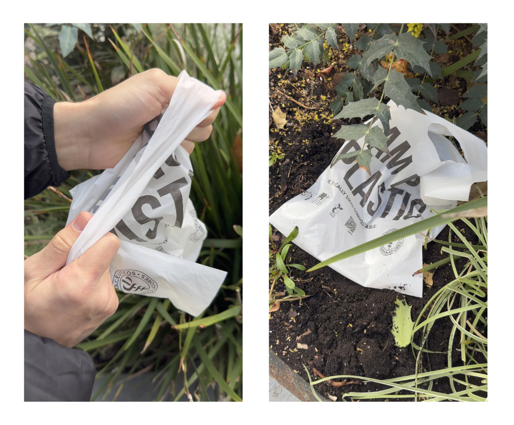 Bolsas 100% compostables - 5