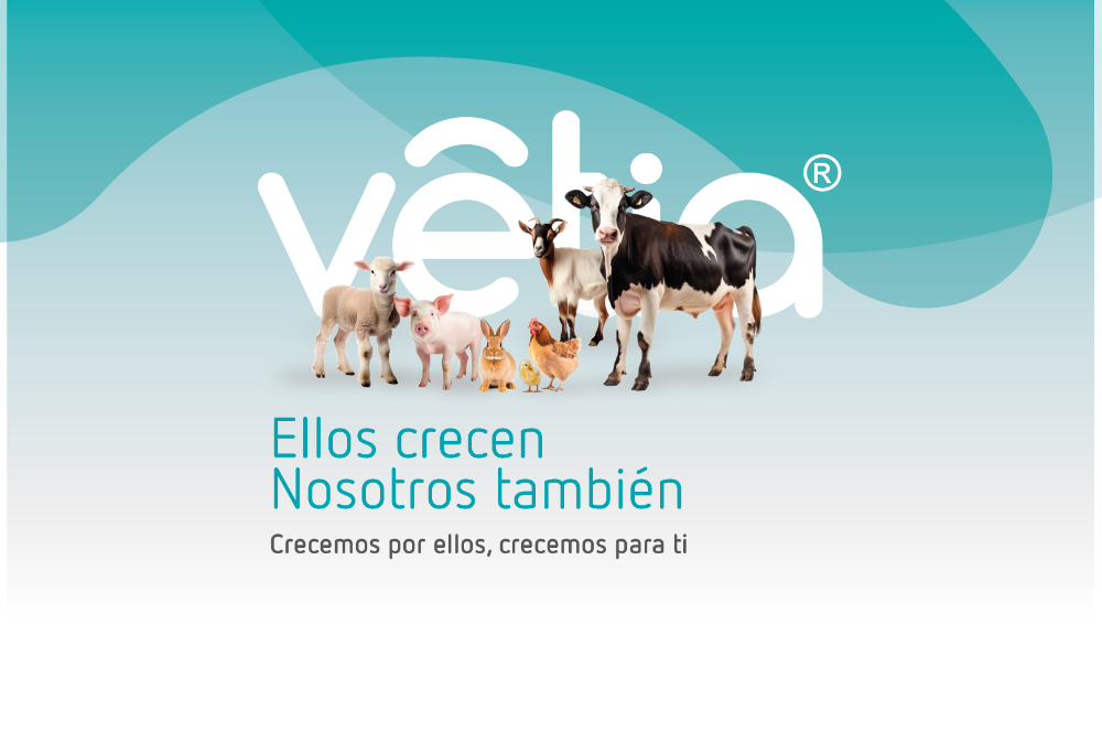 Campaña crecemos - 2