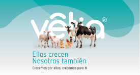 Campaña crecemos