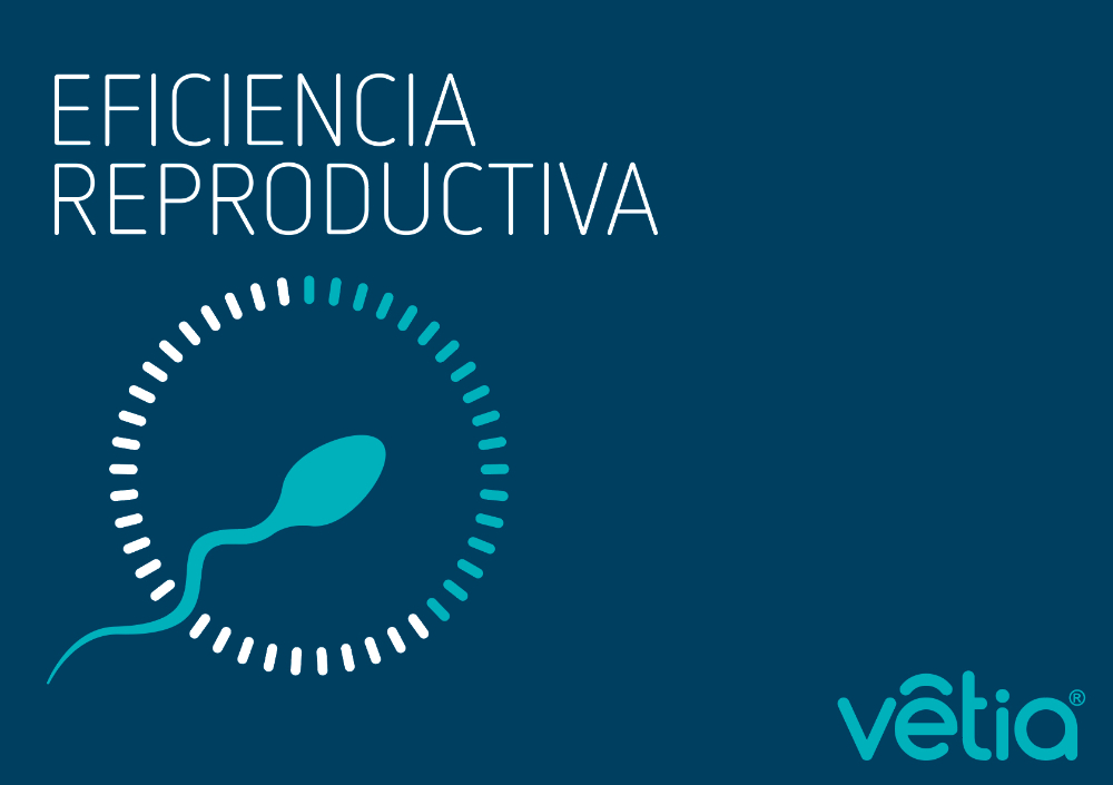 Eficiencia Reproductiva - 1