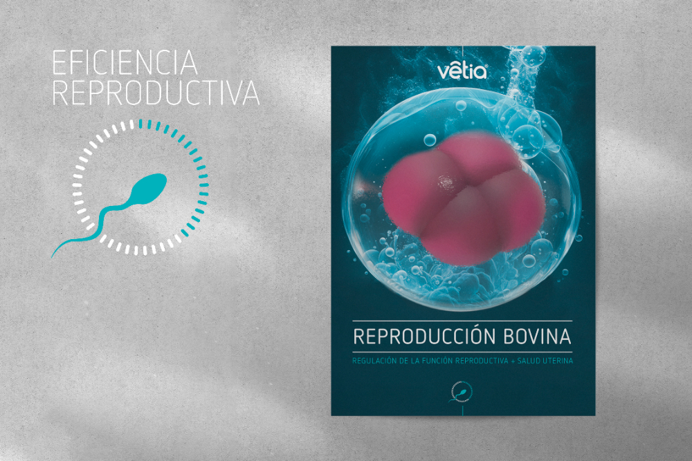 Eficiencia Reproductiva - 3