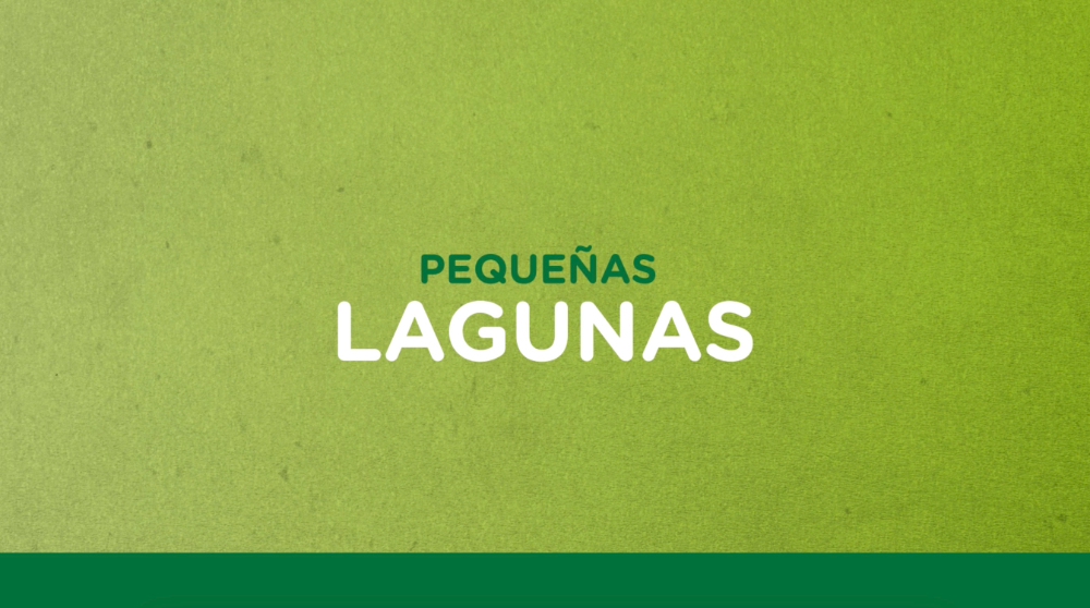 Pequeñas lagunas - 2