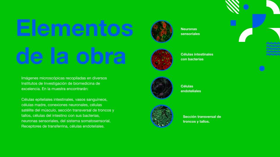 Pradera - 2