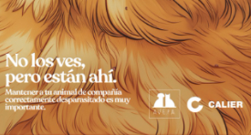 NO LOS VES, PERO ESTÁN AHÍ.