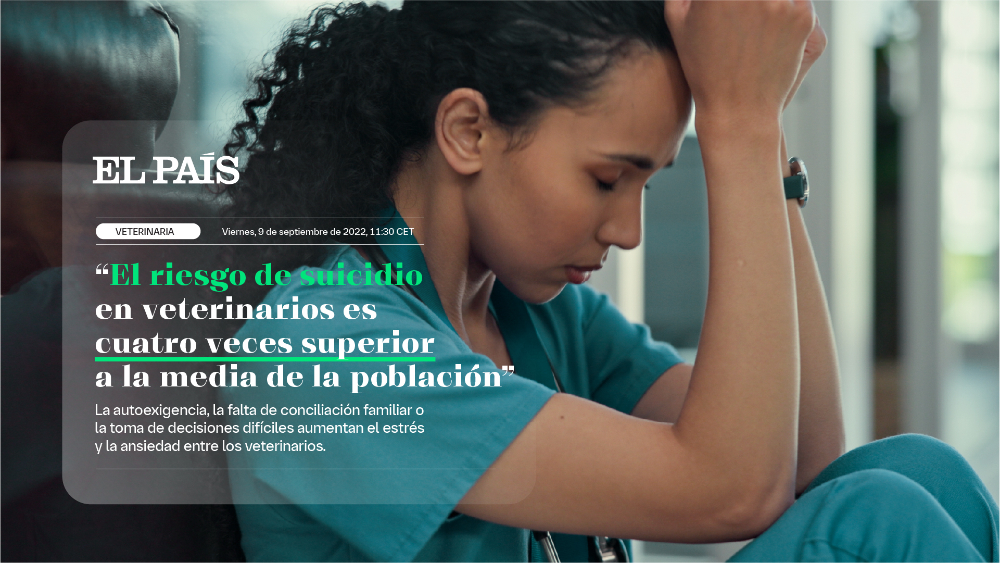 GestiónVet360 - 4