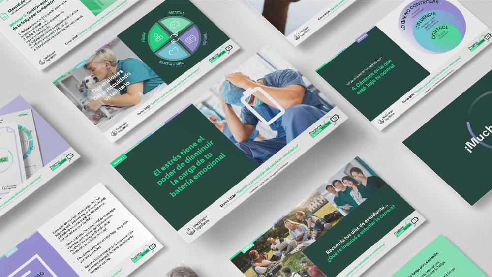 GestiónVet360 - 7