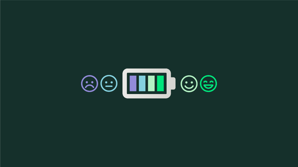 GestiónVet360 - 11