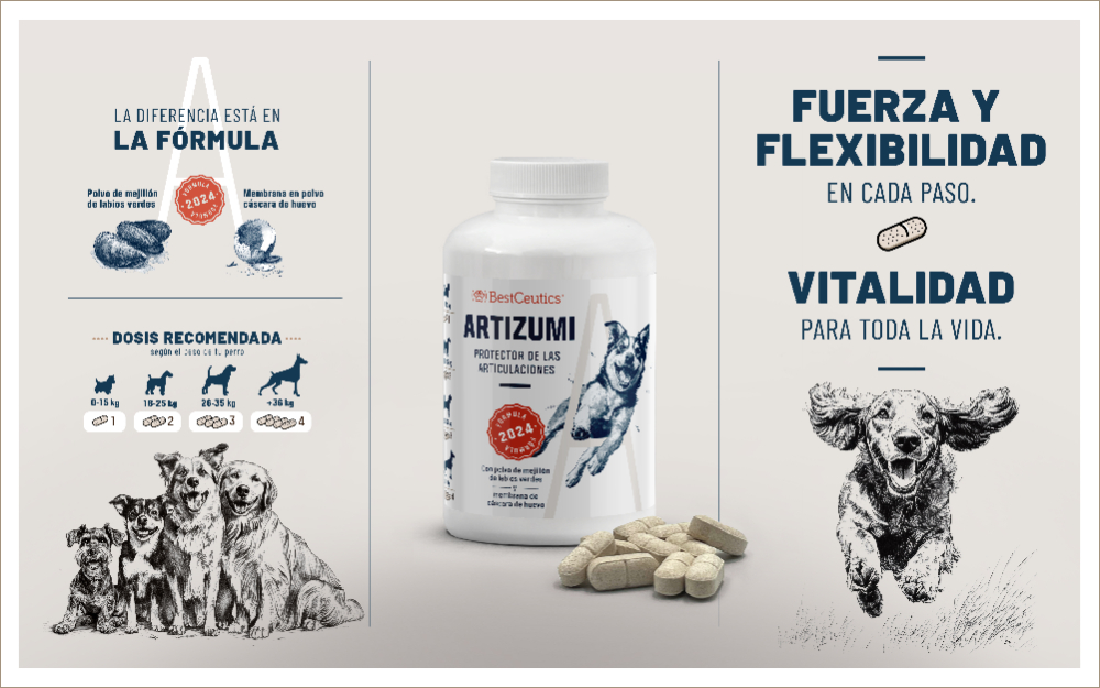 PACKAGING ARTIZUMI - 1
