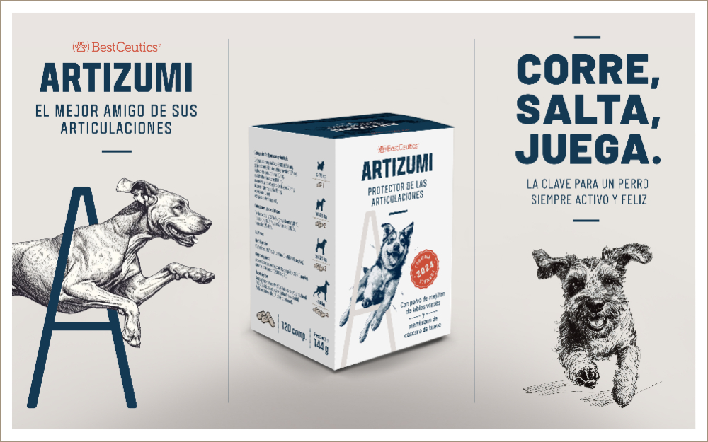 PACKAGING ARTIZUMI - 2