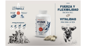 PACKAGING ARTIZUMI