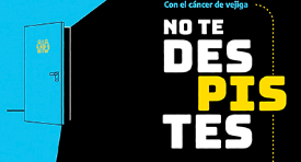 NO TE DESPISTES