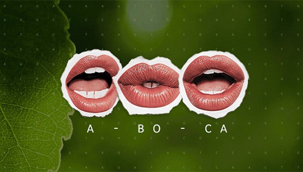 Cómo suena Aboca - 2
