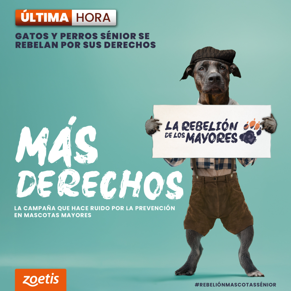 La Rebelión de los Mayores - 3