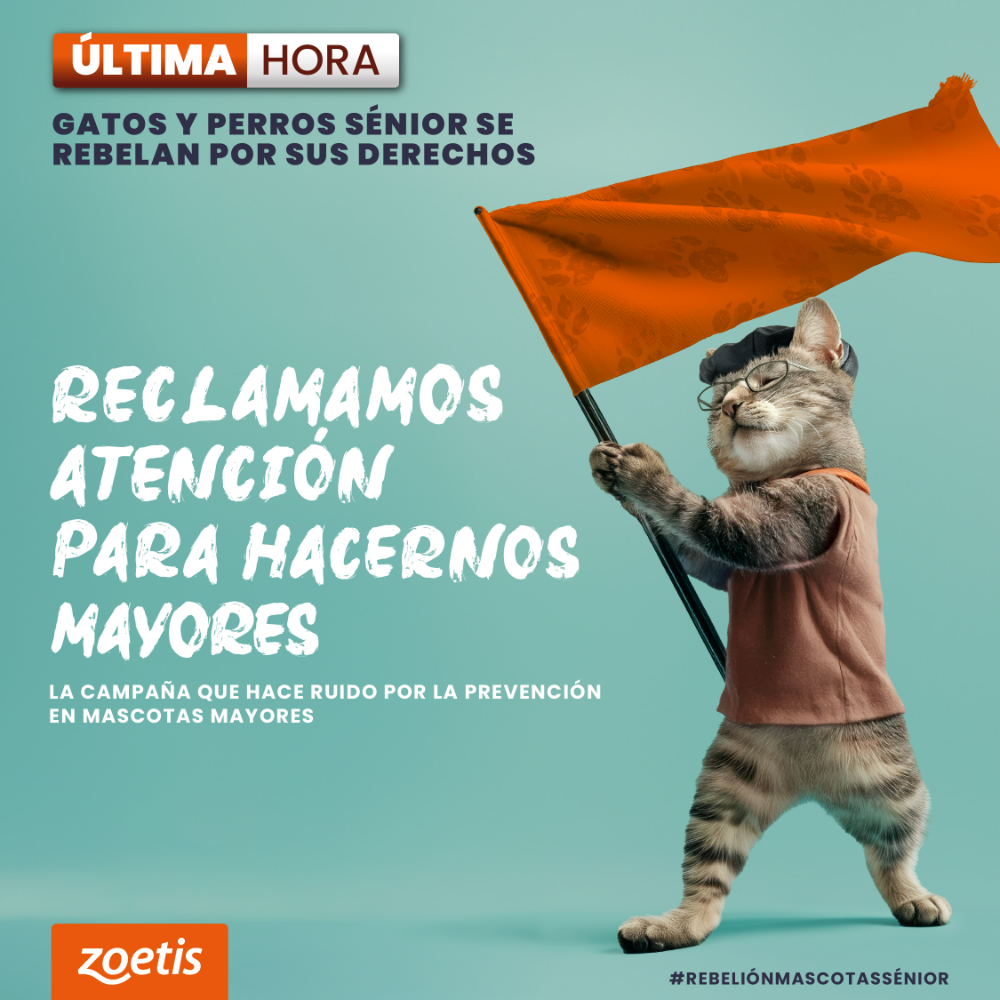La Rebelión de los Mayores - 5