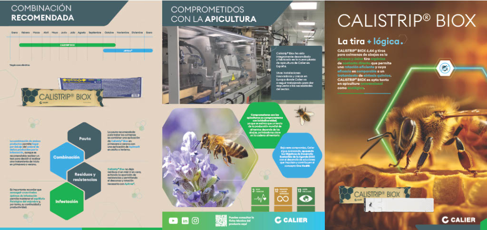 Calistrip Biox: la tira + lógica - 4
