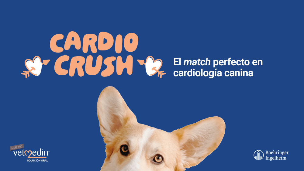 Cardio Crush - 1