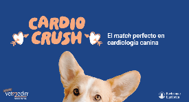 Cardio Crush