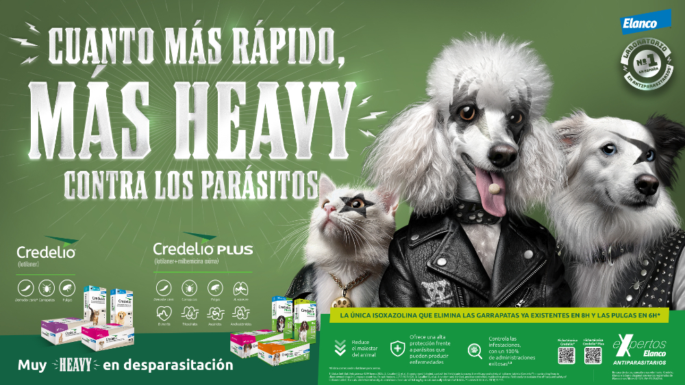 MUY HEAVY CONTRA LOS PARÁSITOS - 3