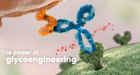 El poder de la glicoingeniería