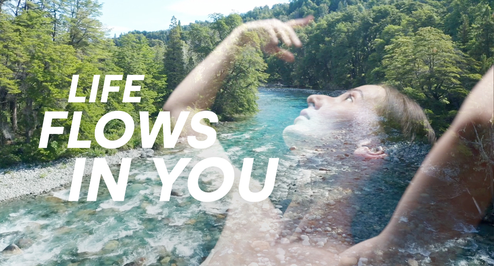 Life Flows in You - 4