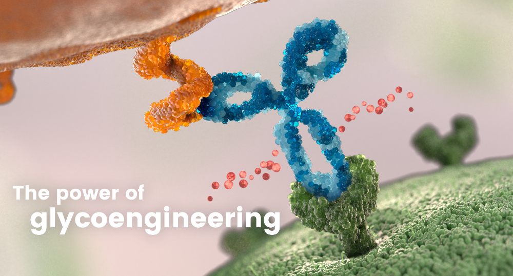 El poder de la glicoingeniería - 4