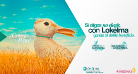 ¿Conejo o Pato?