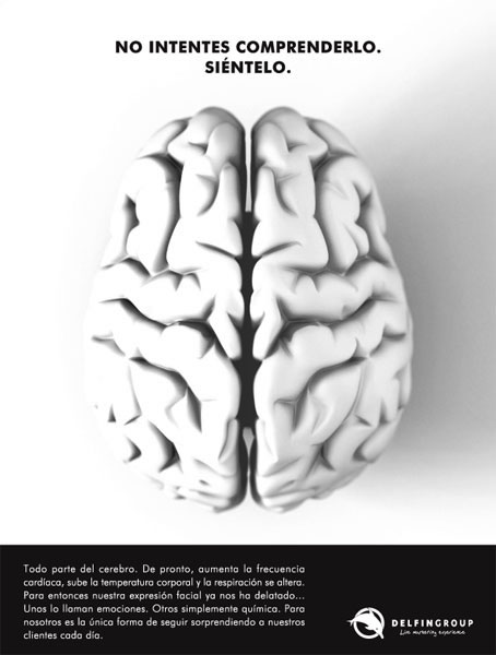 Cerebro - 1