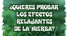 Hierba