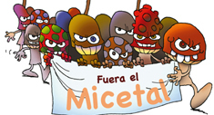 Cuando los hongos se manifiestan