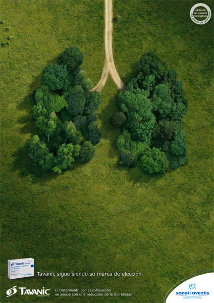 Pulmones - 1