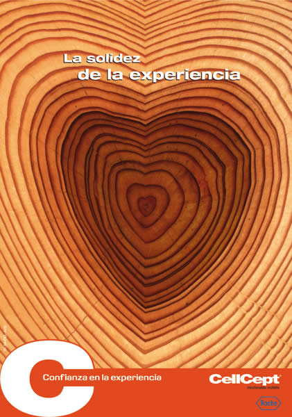 Experiencia - 1