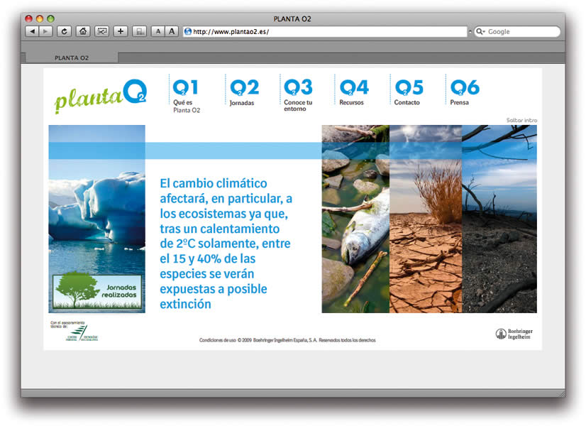Planta O2 - 3