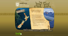 indoviajes.com