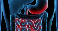 Relif: la tolerabilidad gastrointestinal