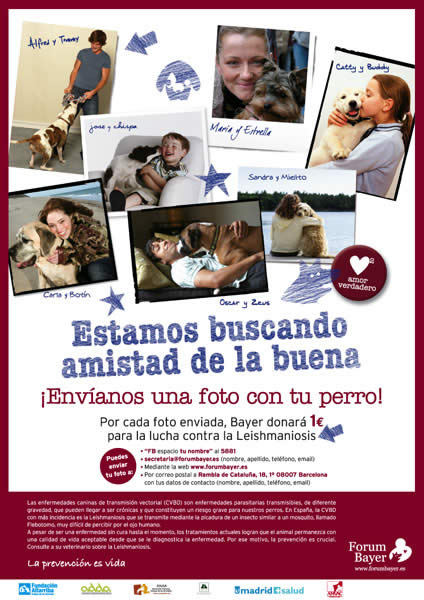 Una foto, 1 Euro contra la Leishmaniosis - 2