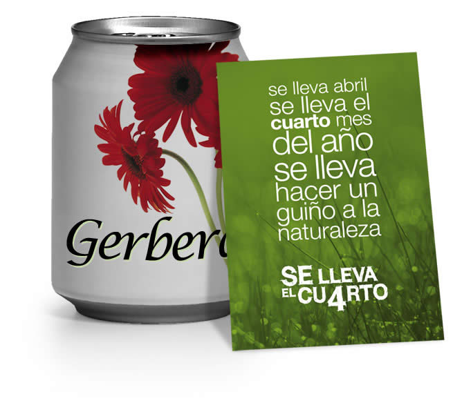 se lleva el cuarto - 4