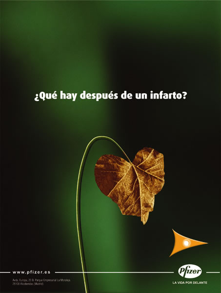 Planta - 2