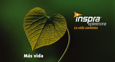 Planta