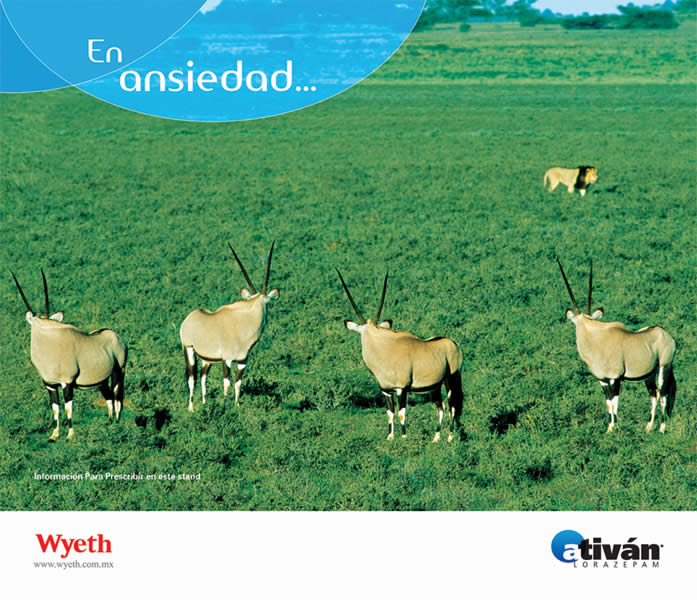 Animales nerviosos - 2