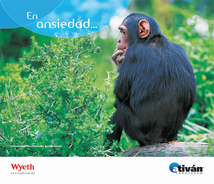 Animales nerviosos - 3