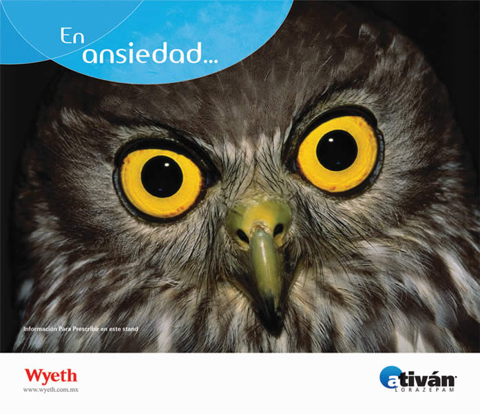 Animales nerviosos - 4