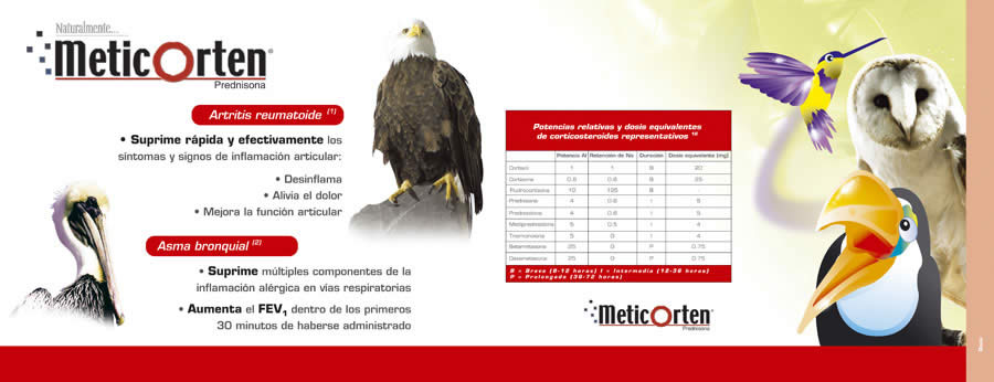 Naturalmente - 1
