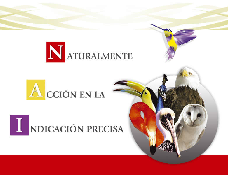 Naturalmente - 9